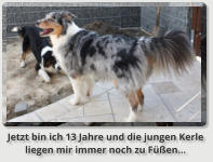 Jetzt bin ich 13 Jahre und die jungen Kerle  liegen mir immer noch zu Füßen...