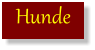 Hunde