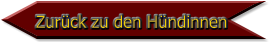 Zurück zu den Hündinnen