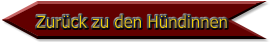 Zurück zu den Hündinnen